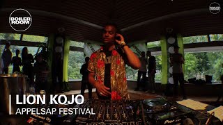 Photo of set Lion Kojo.