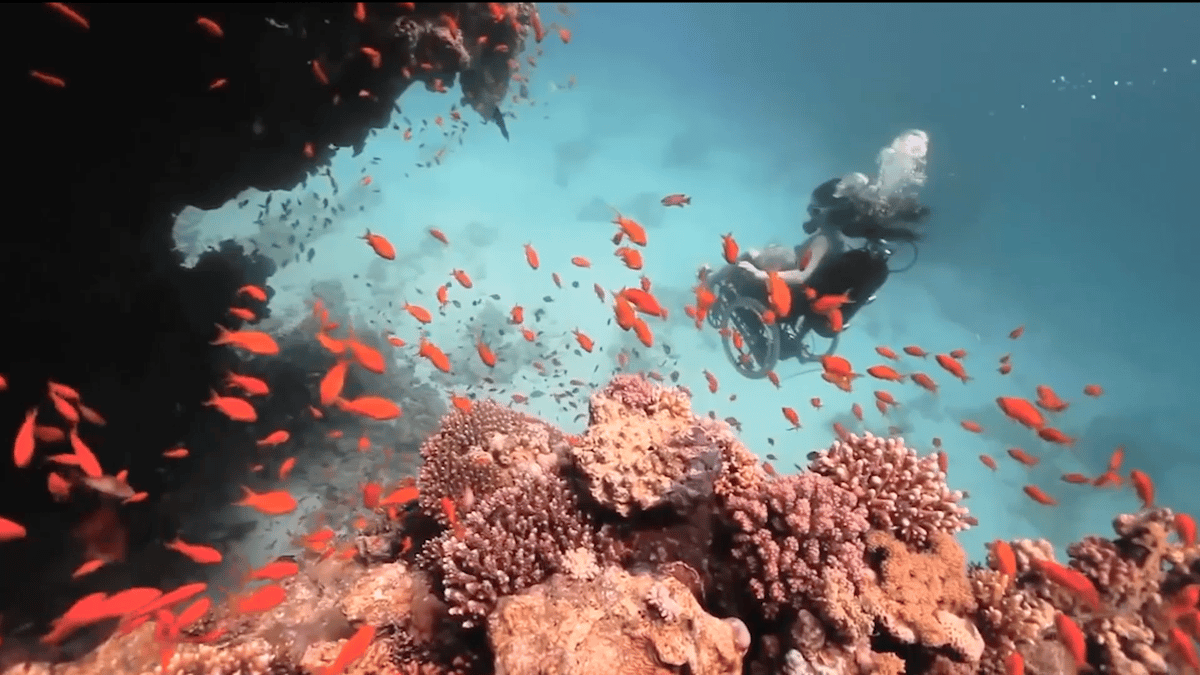 Photo of set Peaches presents: Creating the Spectacle.