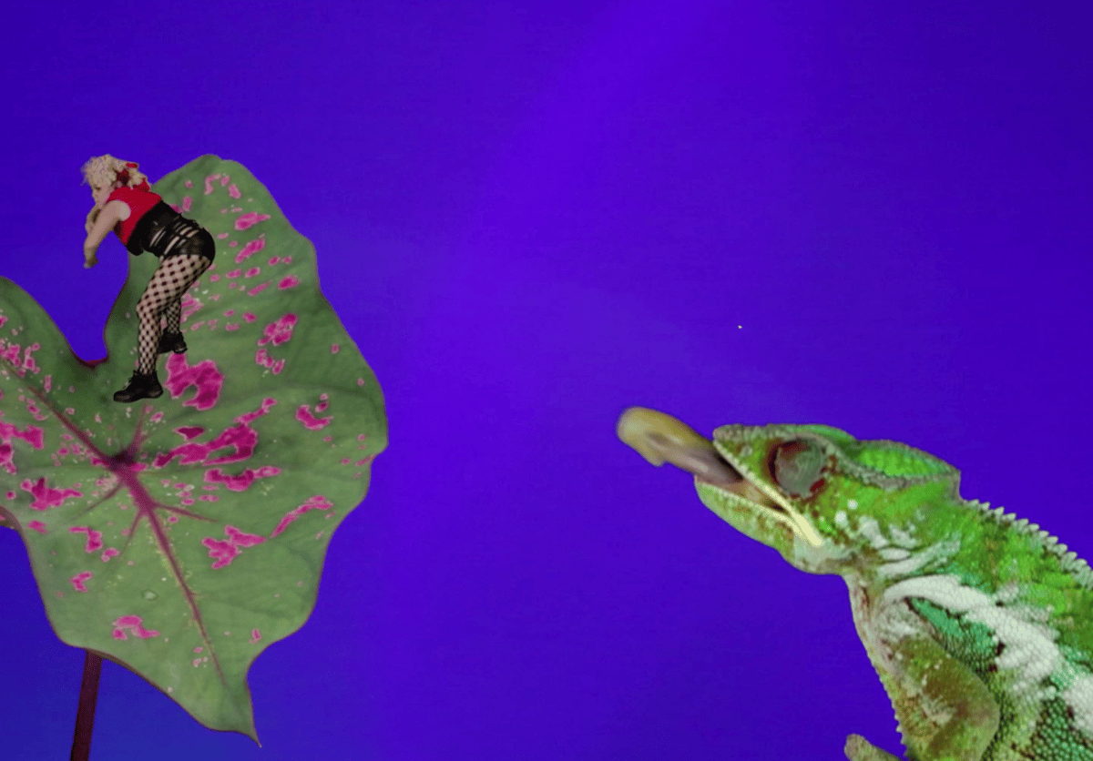 Photo of set Bom Bom’s Dream.