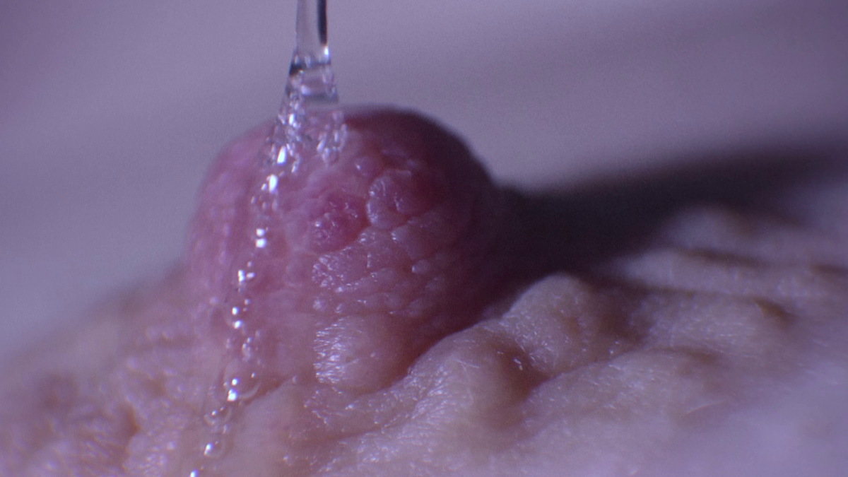 Photo of set Peaches presents: Fluid Chemistry.