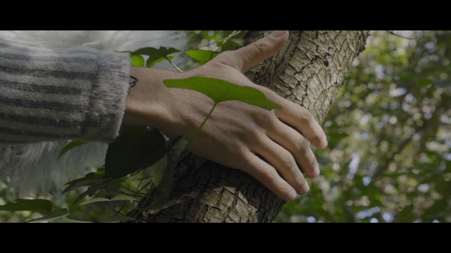 Flyer for event Ser-Tiempo.