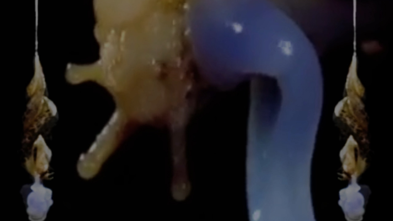 Flyer for event 2 become 1.