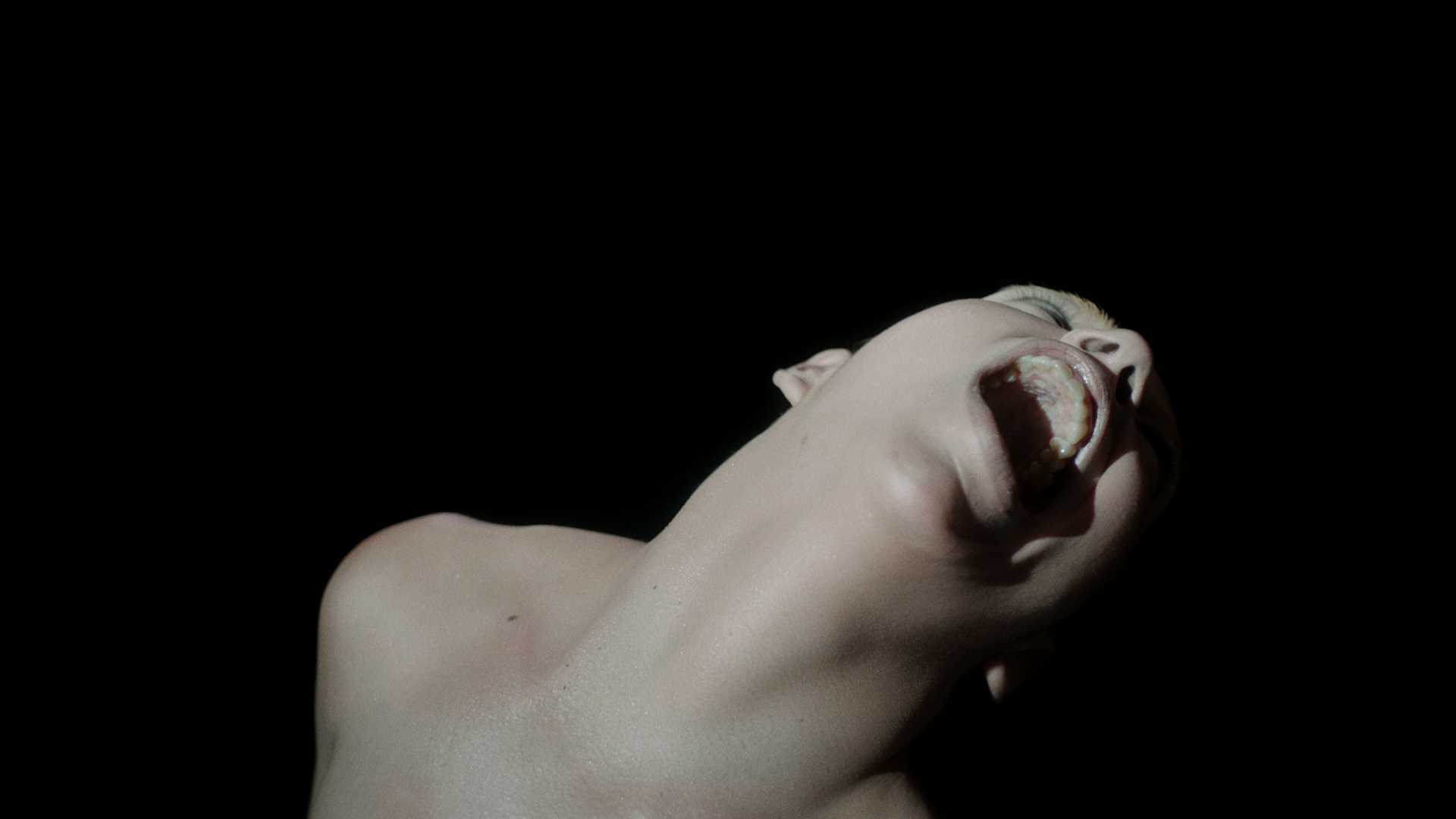 Flyer for event Objekt: 'Dazzle Anew'.