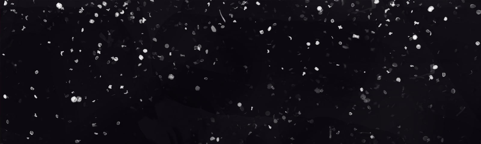 Show Background
