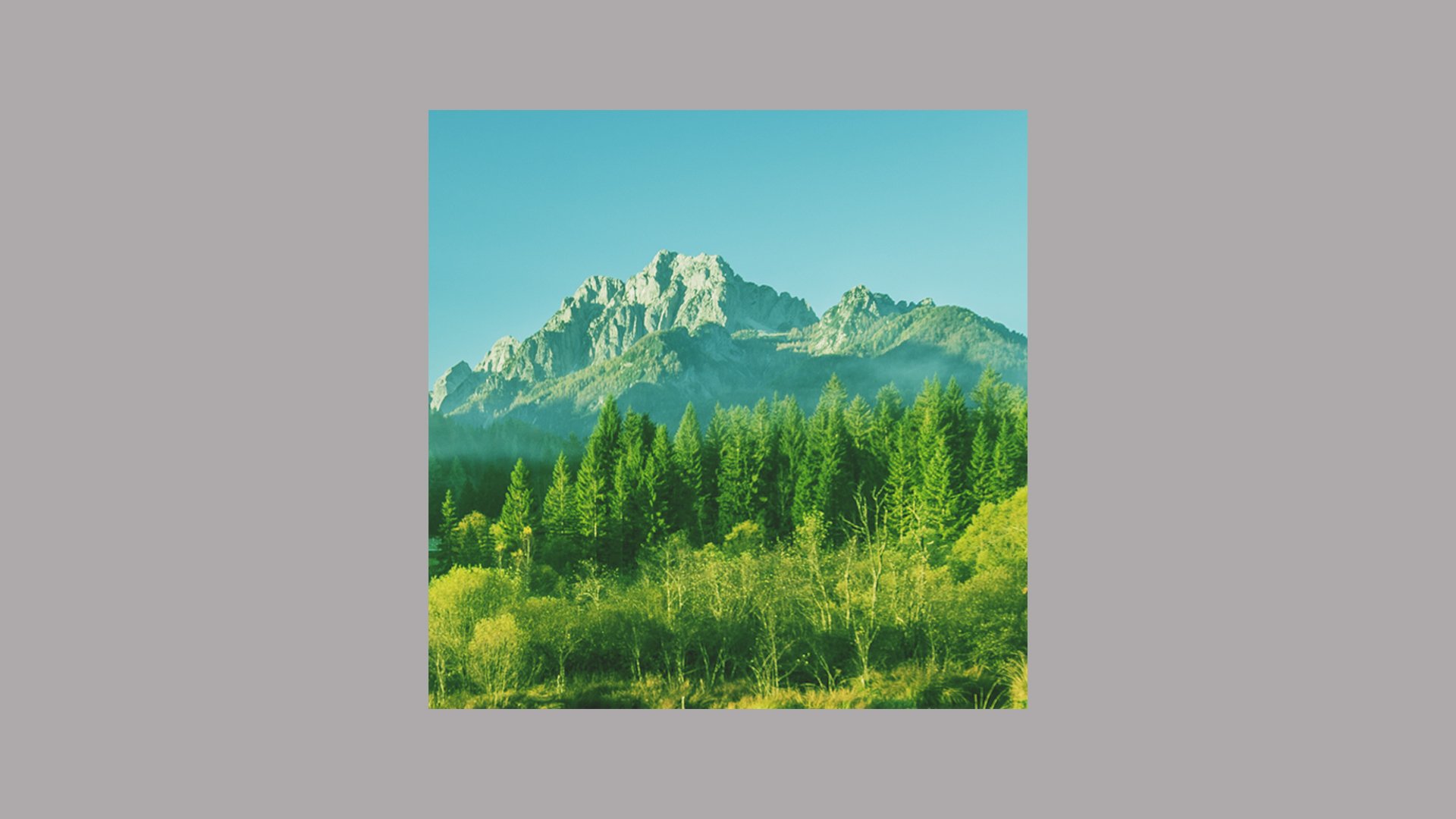 Show Background