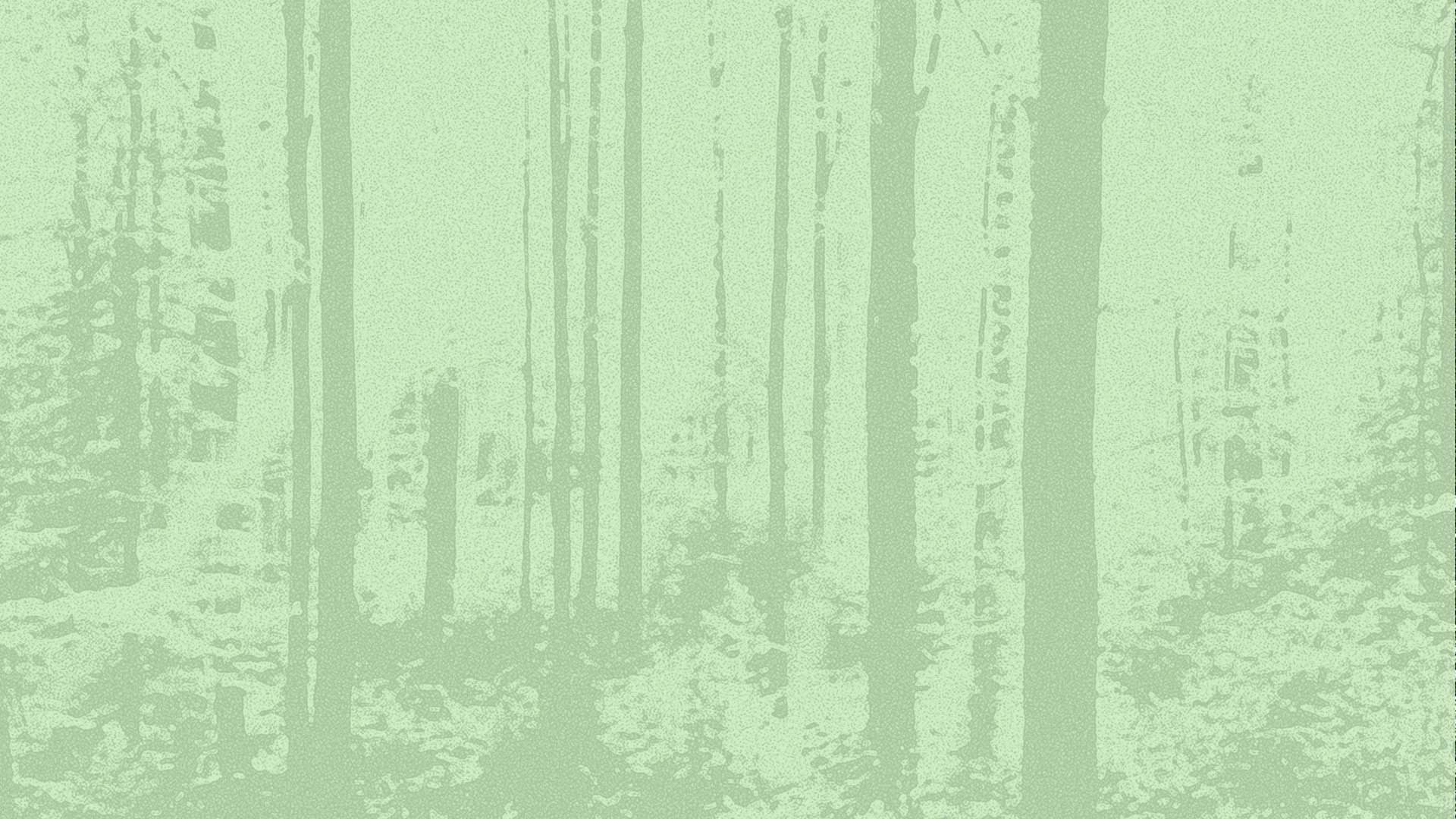 Show Background
