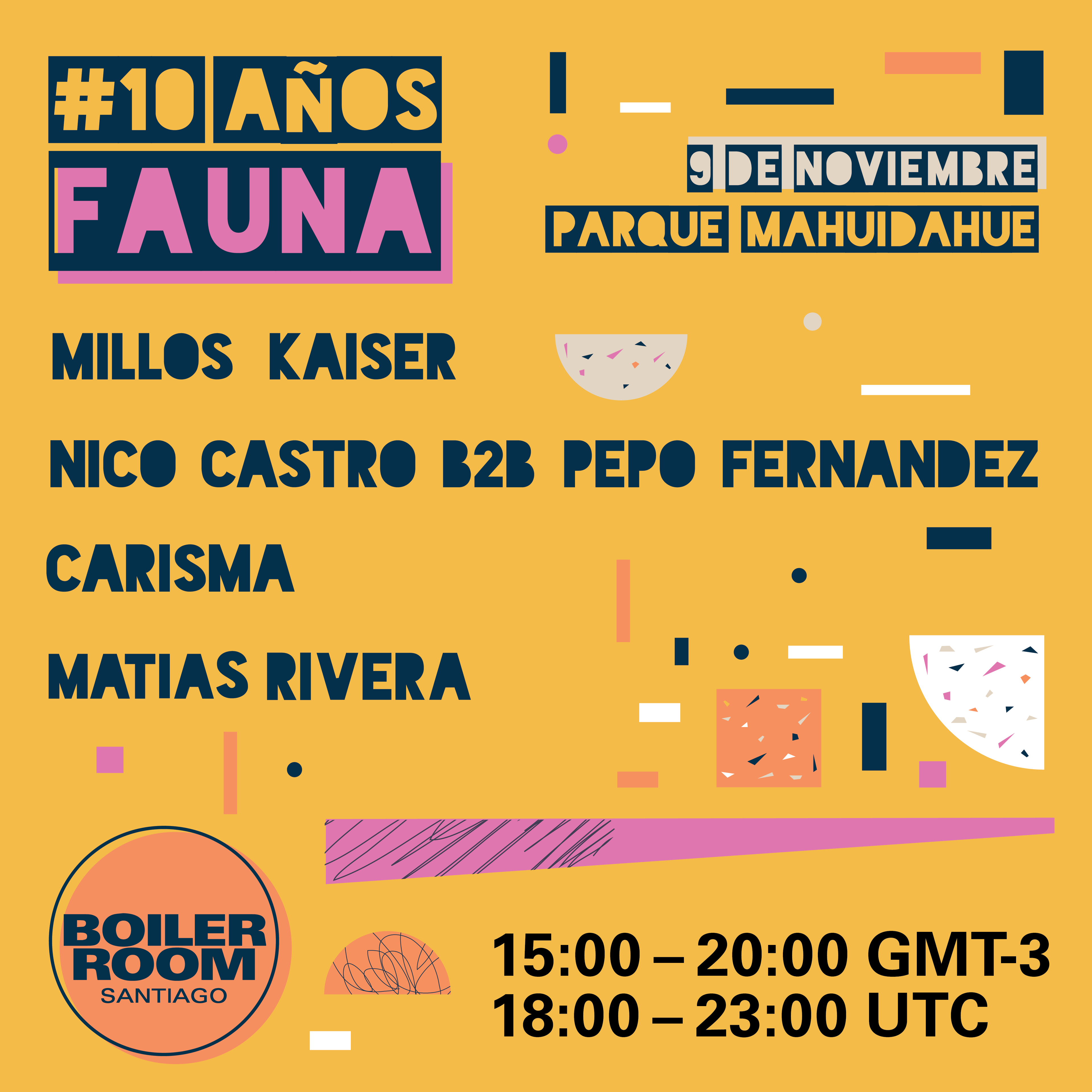 10 Años Fauna flyer
