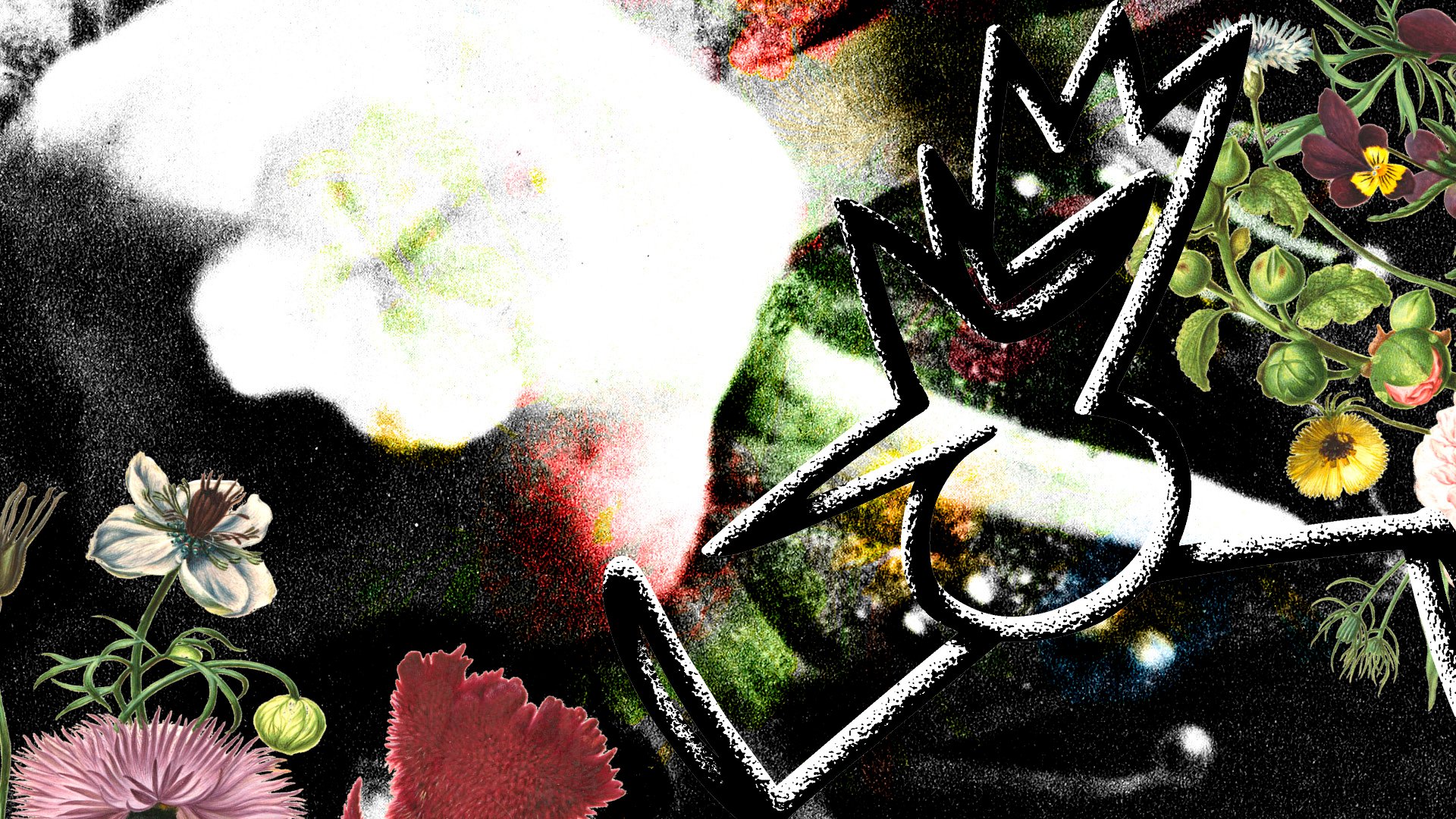 Show Background
