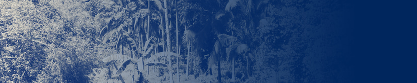 Flyer for event Tulum: Nicola Cruz, Matanza, El Búho, Siete Catorce, Sidartha Siliceo.