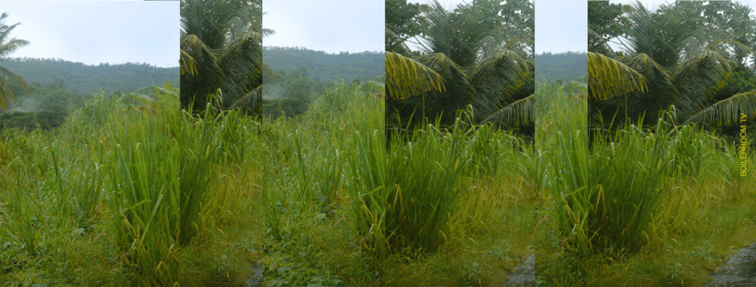 Flyer for event Boiler Room Los Angeles: #RailUp.