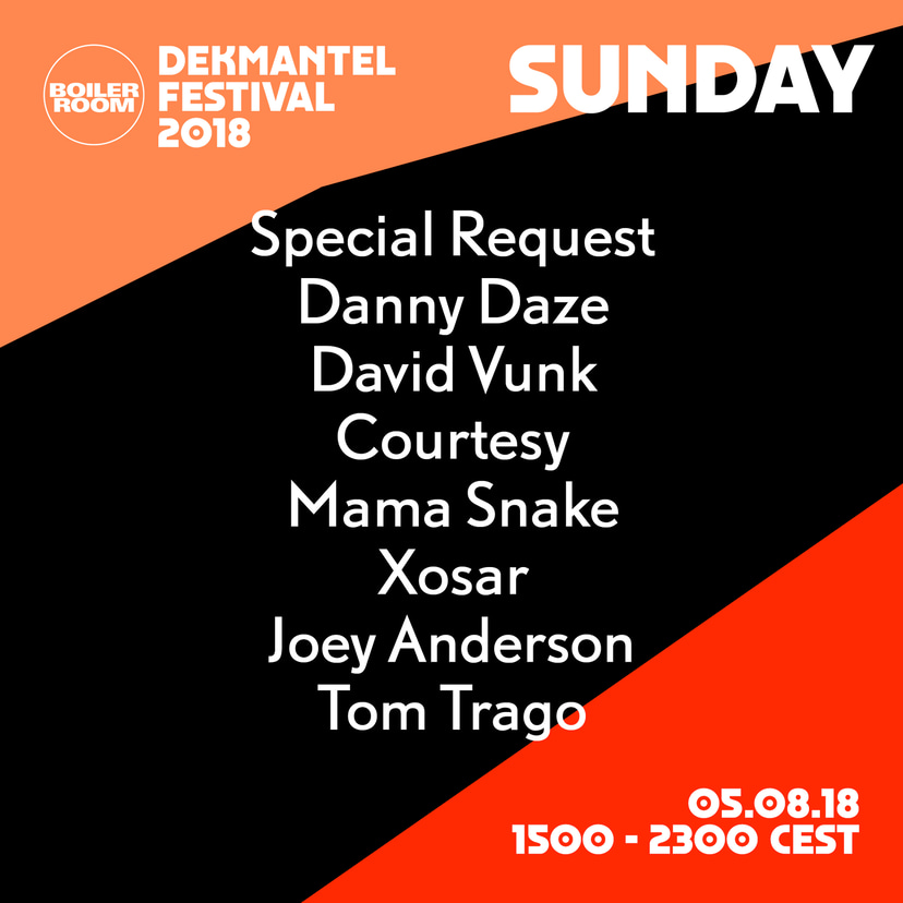 Flyer for event Dekmantel 2018 Sunday.